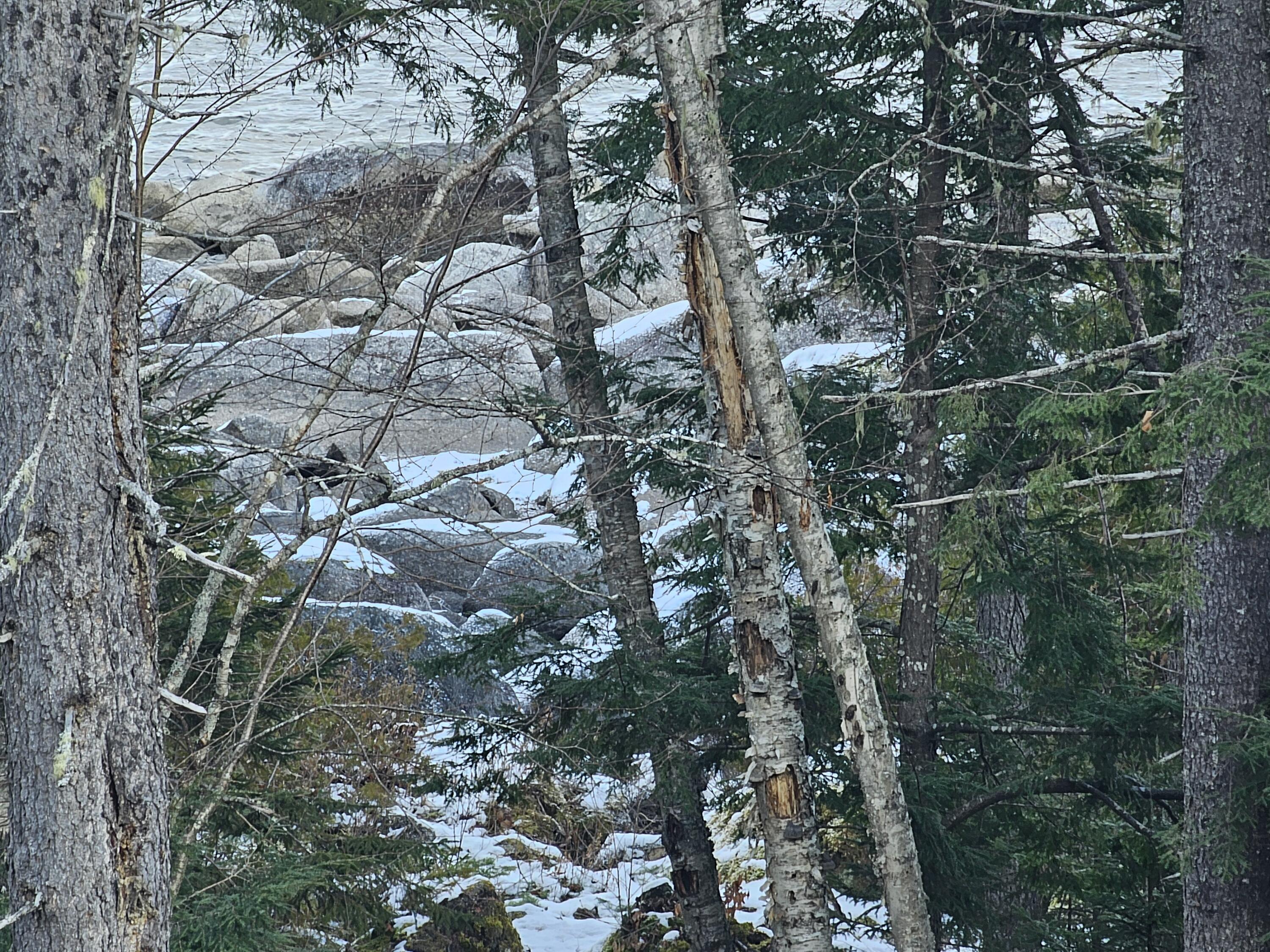 M26-l11.2 Boulder Road Danforth, ME 04424 - Photo 19 of 25 20241203_122840