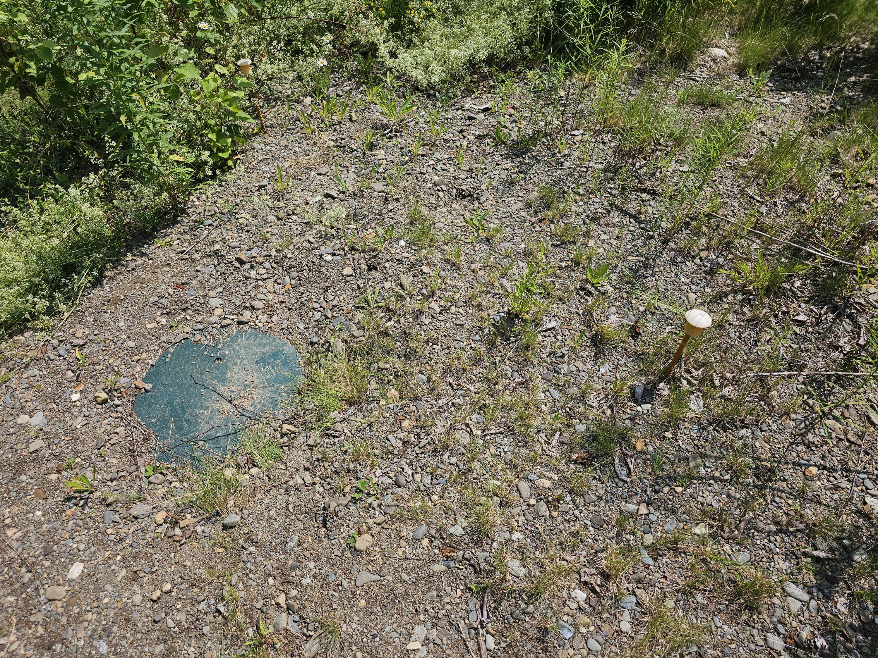 M26-l11.2 Boulder Road Danforth, ME 04424 - Photo 6 of 25 20230706_105603