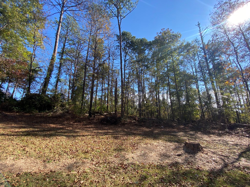 951 Fox Ridge Road Eufaula, AL 36027 - Photo 25 of 29