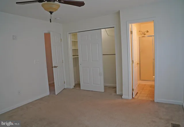 a view of a dry yard