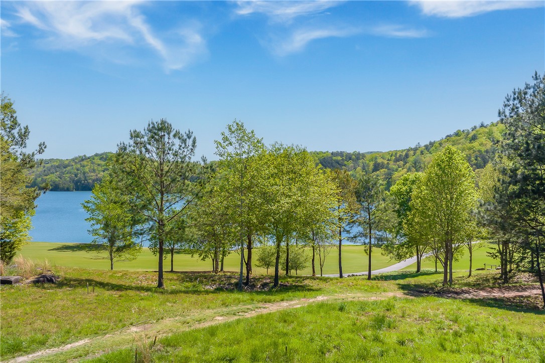 249 Long Cove Court Sunset, SC 29685 - Photo 11 of 21