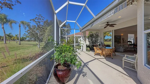a view of a field with a tree in the background