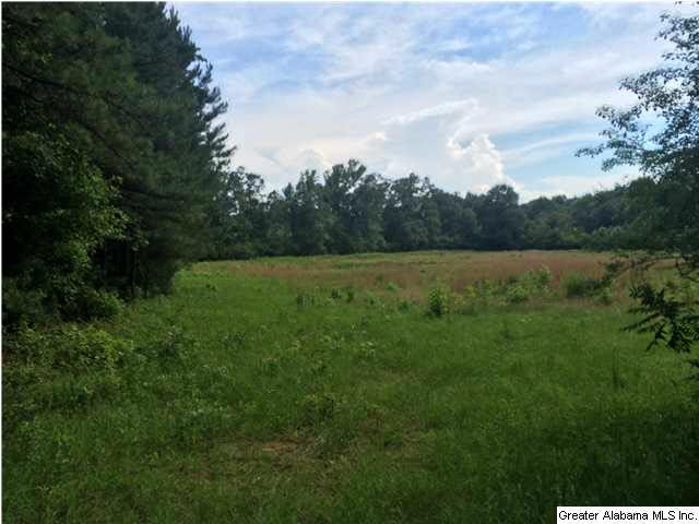 Frog Level Road, Unit 14 West Blocton, AL 35184 - Photo 6 of 10