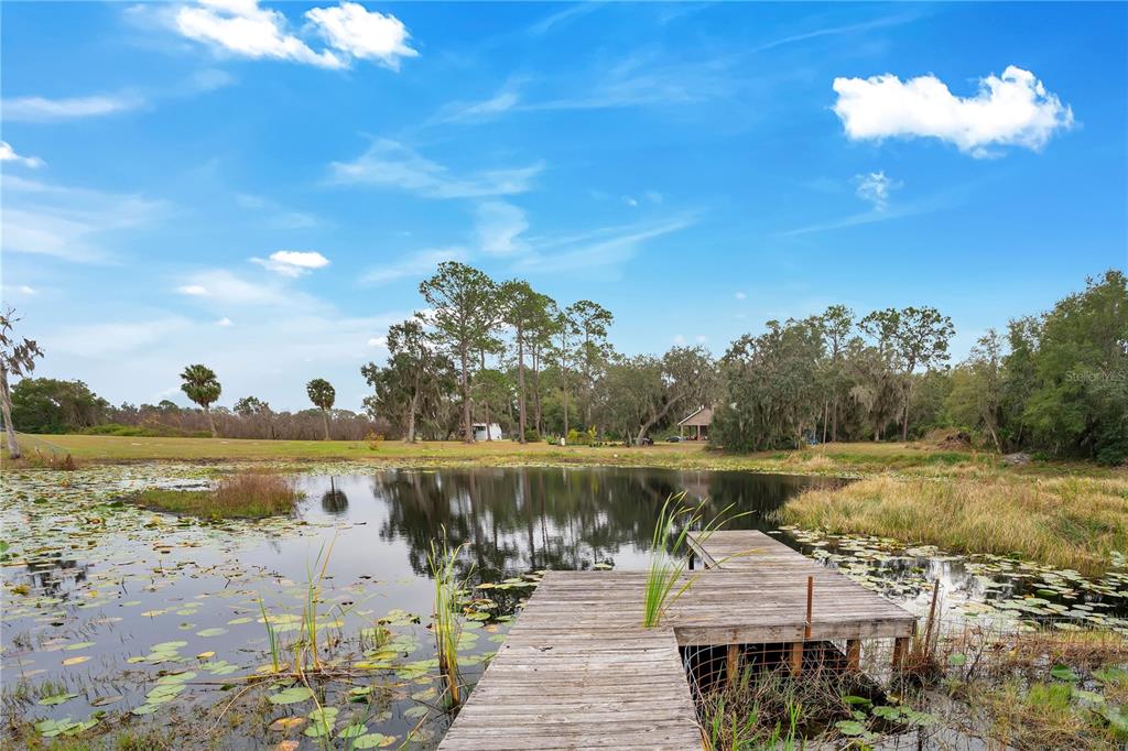 2067 Lake Juanita Road Seville, FL 32190 - Photo 63 of 96 a view of a lake with a mountain