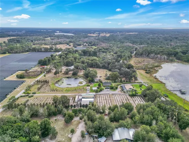 $750,000 | 2067 Lake Juanita Road, Seville, FL 32190