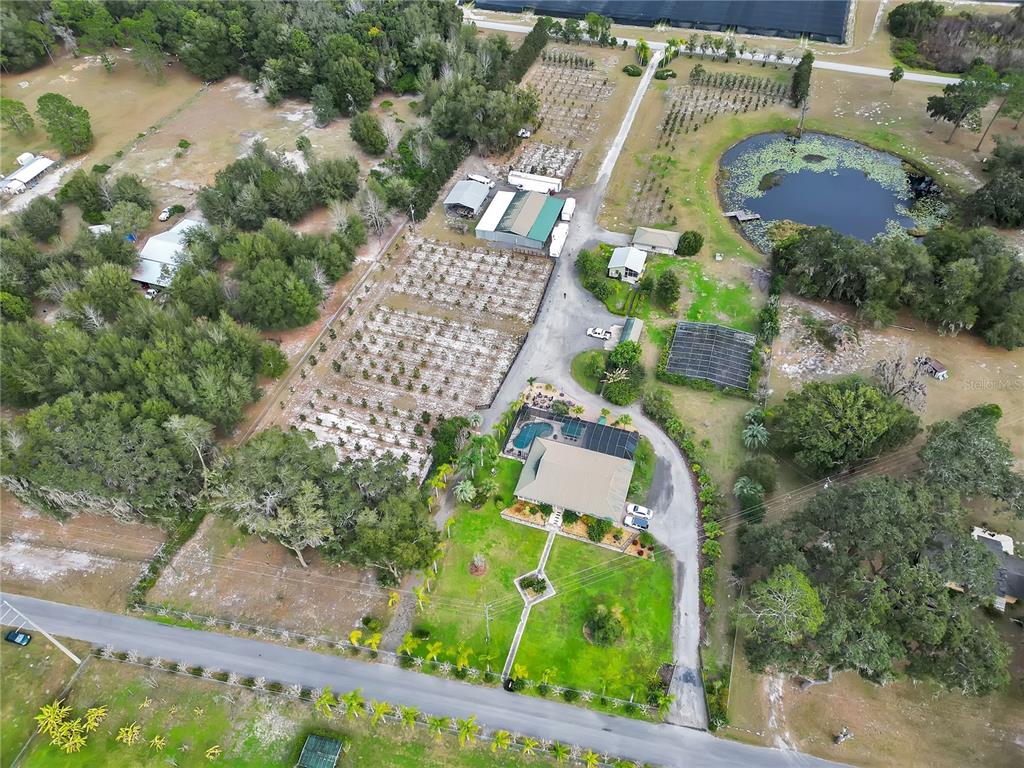 2067 Lake Juanita Road Seville, FL 32190 - Photo 88 of 96 an aerial view of residential house with outdoor space and trees all around