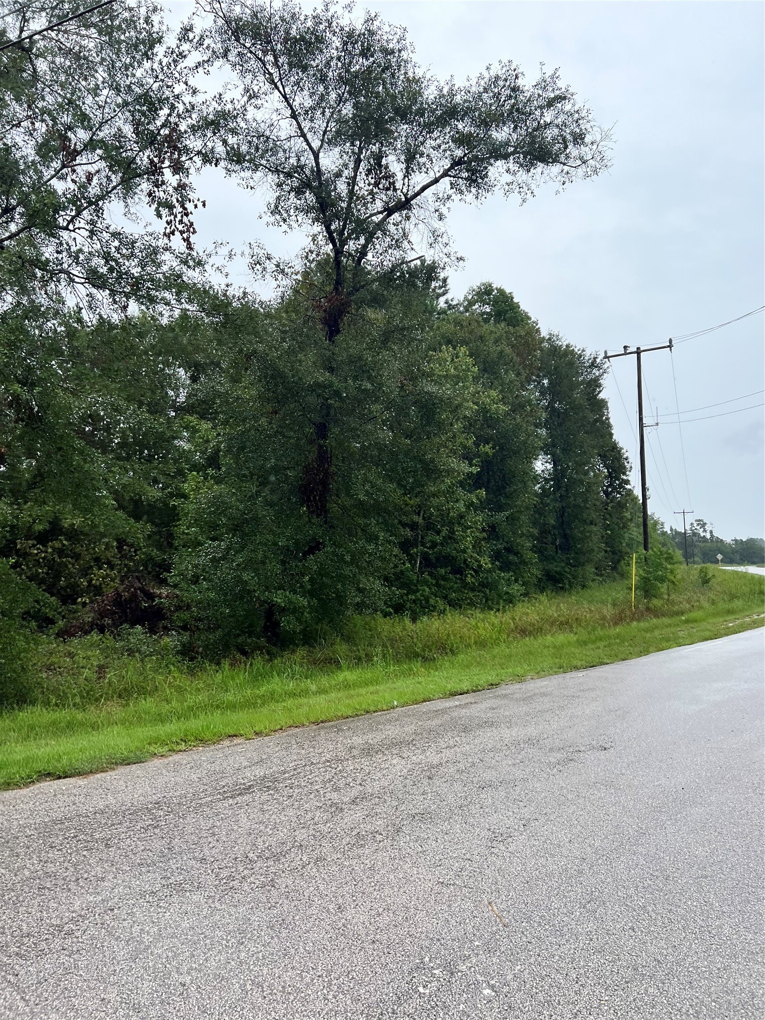 Tbd East River Road Splendora, TX 77372 - Photo 2 of 4