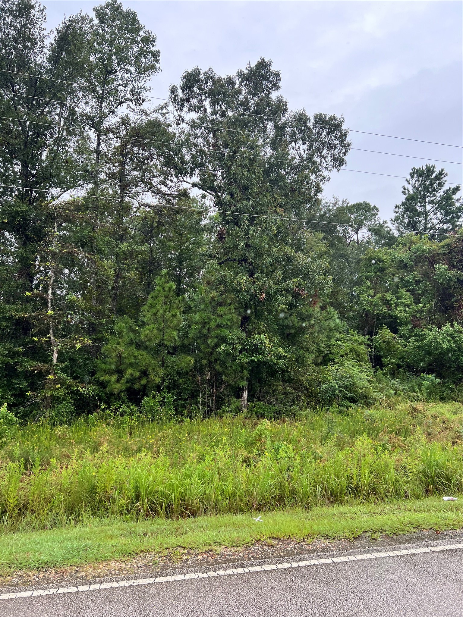 Tbd East River Road Splendora, TX 77372 - Photo 3 of 4