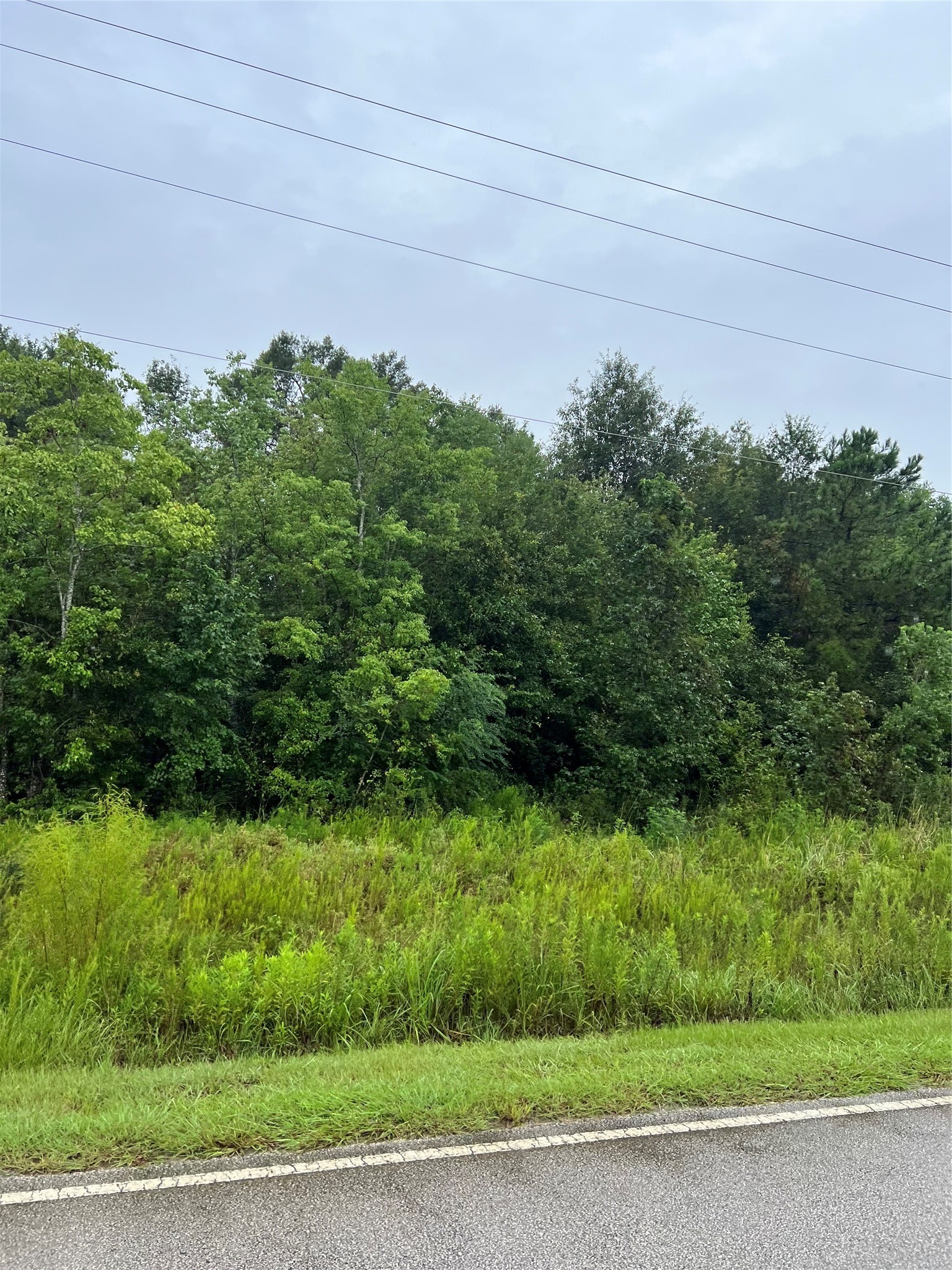 Tbd East River Road Splendora, TX 77372 - Photo 4 of 4