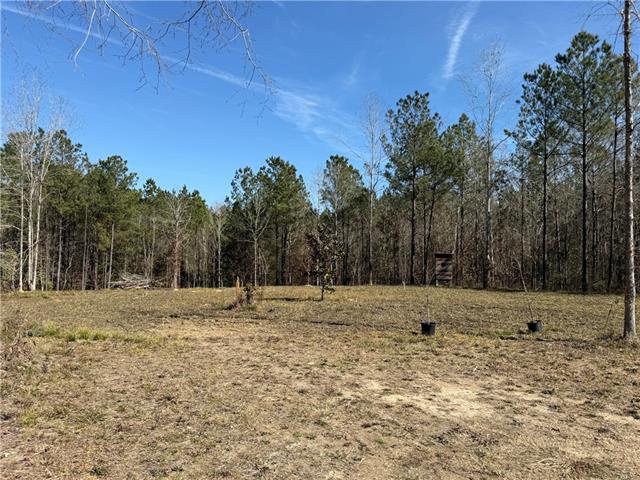 92 H Strange Road Lecompte, LA 71346 - Photo 3 of 8