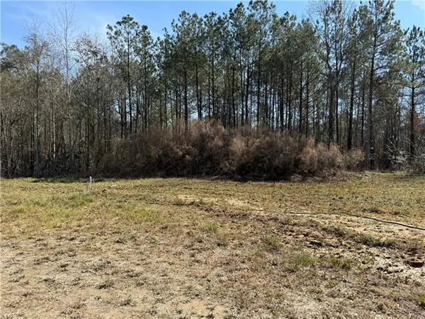 $197,000 | 92 H Strange Road, Lecompte, LA 71346