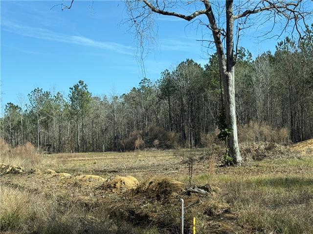 92 H Strange Road Lecompte, LA 71346 - Photo 5 of 8