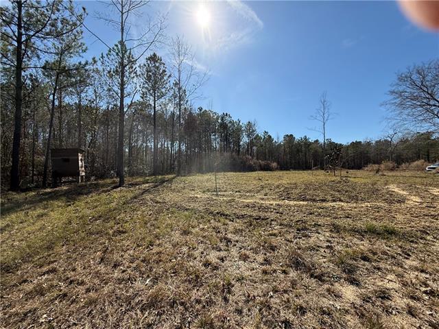 92 H Strange Road Lecompte, LA 71346 - Photo 7 of 8