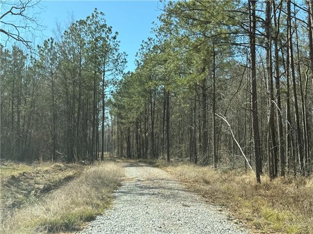 92 H Strange Road Lecompte, LA 71346 - Photo 8 of 8