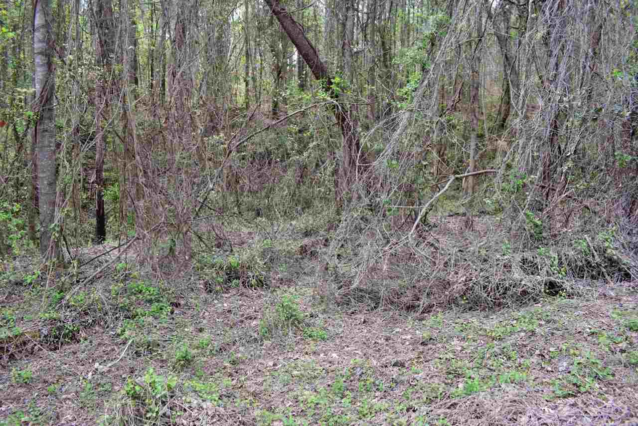 137 State Rd S-42-779 Inman, SC 29349 - Photo 4 of 11