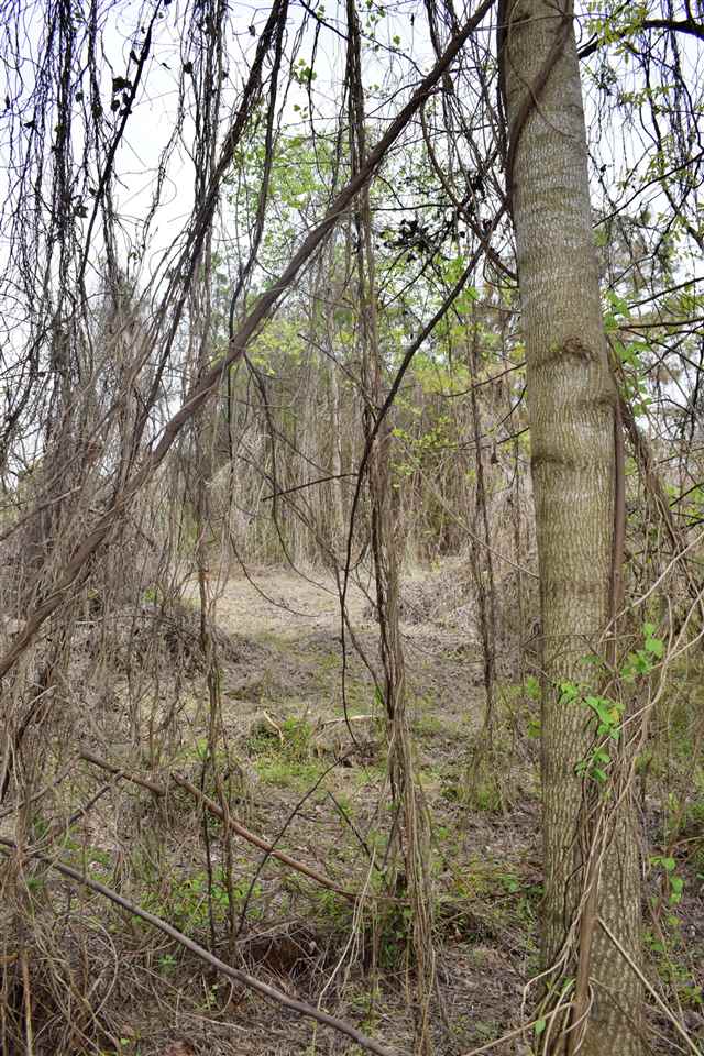 137 State Rd S-42-779 Inman, SC 29349 - Photo 6 of 11