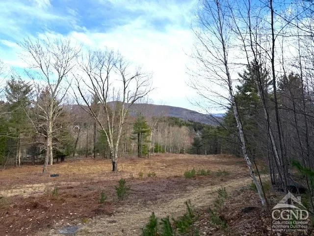 $995,000 | 0 Campbell Road, Ashland, NY 12407