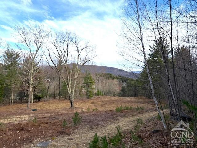 0 Campbell Road Ashland, NY 12407 - Photo 11 of 31 Photo 11