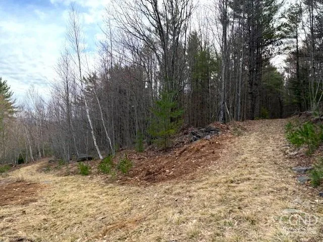 $995,000 | 0 Campbell Road, Ashland, NY 12407