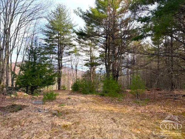 $995,000 | 0 Campbell Road, Ashland, NY 12407