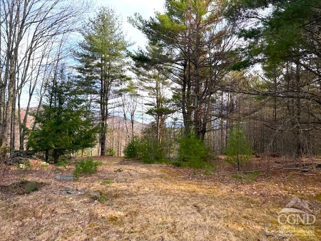 0 Campbell Road Ashland, NY 12407 - Photo 13 of 31 Photo 13