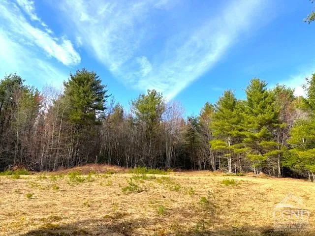 $995,000 | 0 Campbell Road, Ashland, NY 12407