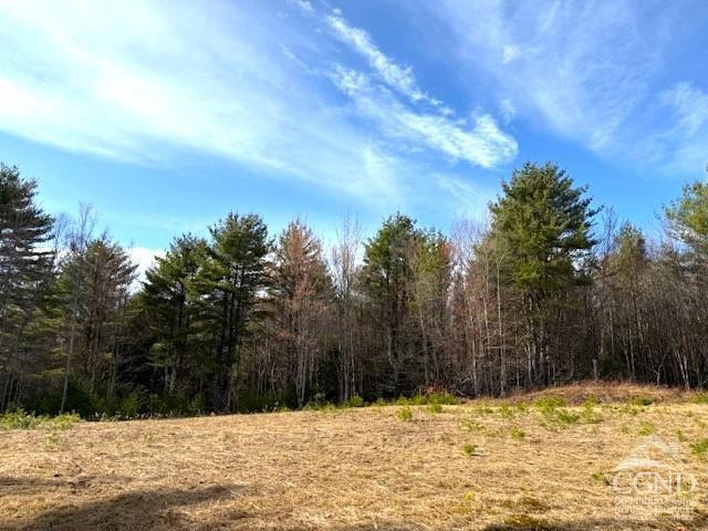 0 Campbell Road Ashland, NY 12407 - Photo 16 of 31 Photo 16