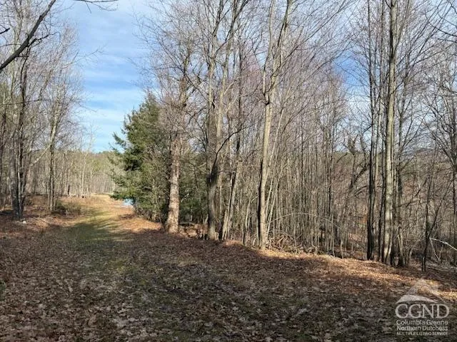 $995,000 | 0 Campbell Road, Ashland, NY 12407