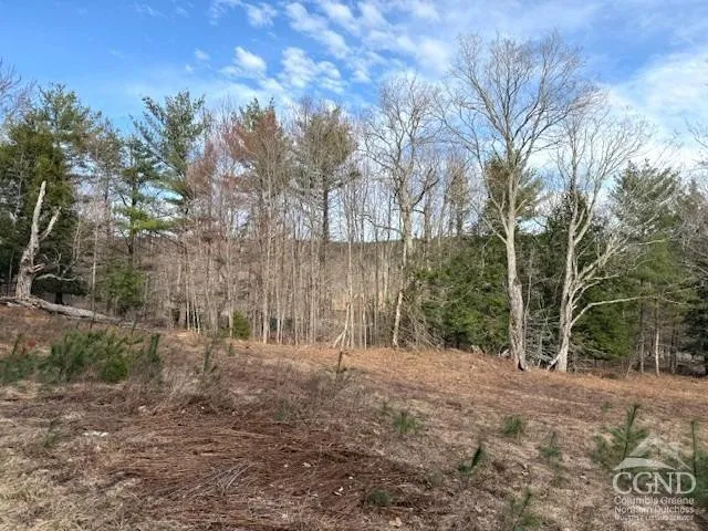 $995,000 | 0 Campbell Road, Ashland, NY 12407