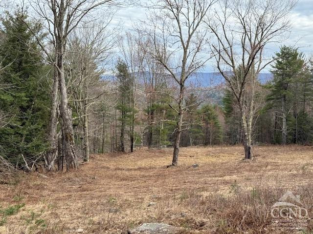 0 Campbell Road Ashland, NY 12407 - Photo 19 of 31 Photo 19