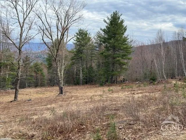 $995,000 | 0 Campbell Road, Ashland, NY 12407