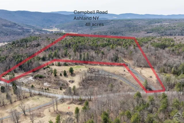 $995,000 | 0 Campbell Road, Ashland, NY 12407