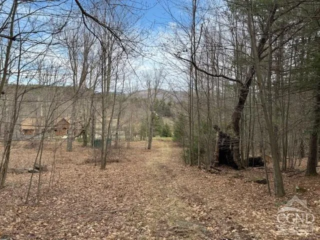 $995,000 | 0 Campbell Road, Ashland, NY 12407