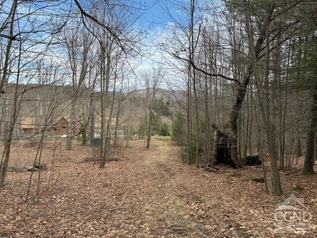 0 Campbell Road Ashland, NY 12407 - Photo 21 of 31 Photo 21