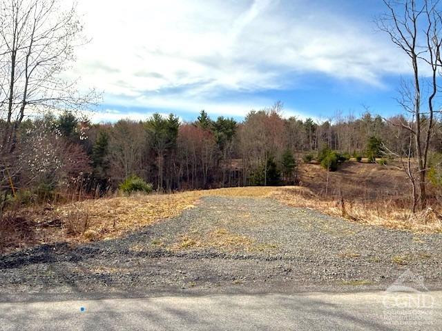 0 Campbell Road Ashland, NY 12407 - Photo 27 of 31 Photo 27