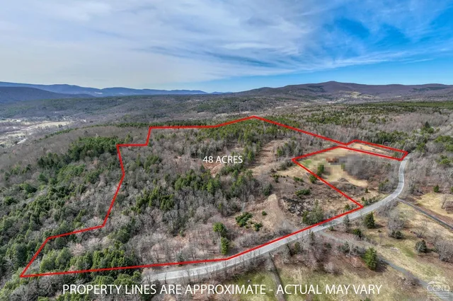 $995,000 | 0 Campbell Road, Ashland, NY 12407
