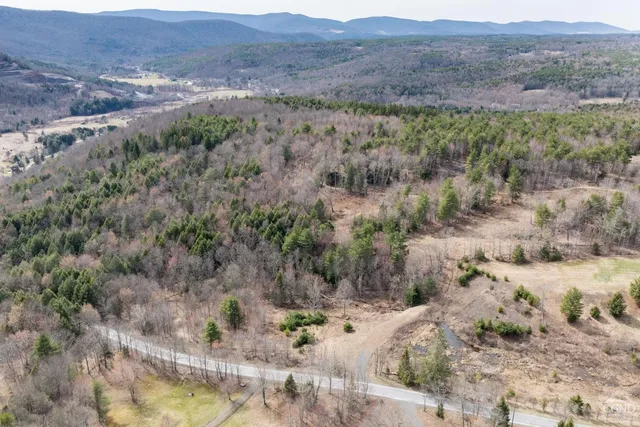 $995,000 | 0 Campbell Road, Ashland, NY 12407