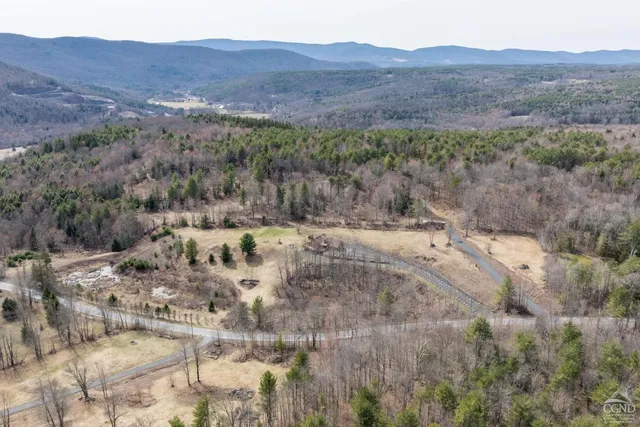 $995,000 | 0 Campbell Road, Ashland, NY 12407