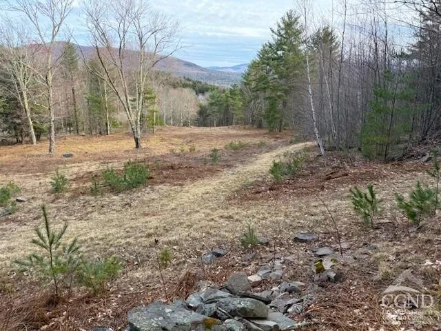 $995,000 | 0 Campbell Road, Ashland, NY 12407