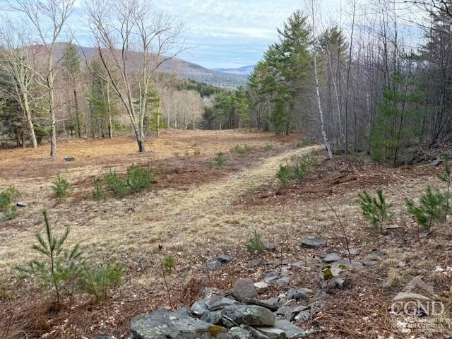 0 Campbell Road Ashland, NY 12407 - Photo 4 of 31 Photo 4