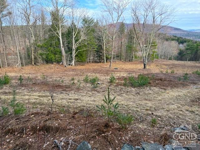 0 Campbell Road Ashland, NY 12407 - Photo 5 of 31 Photo 5