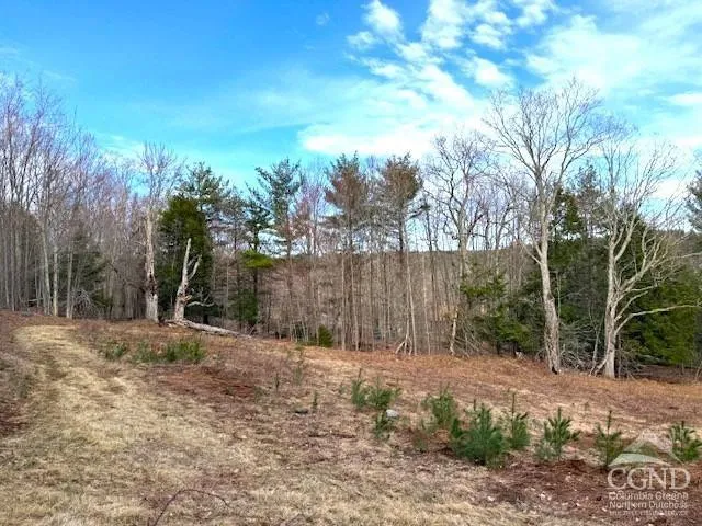 $995,000 | 0 Campbell Road, Ashland, NY 12407