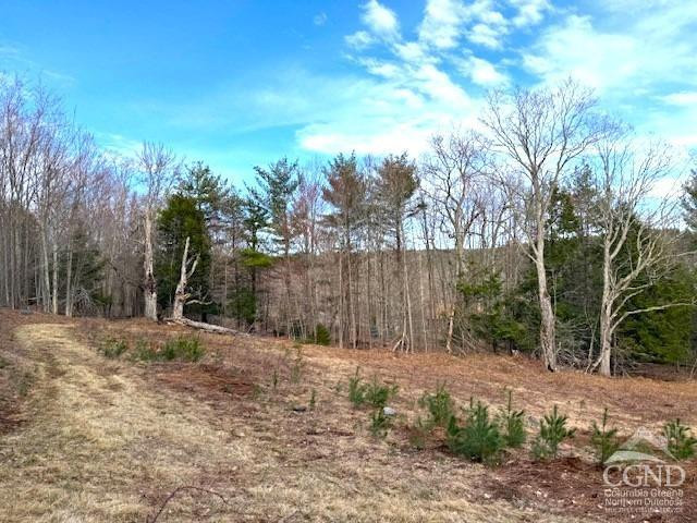 0 Campbell Road Ashland, NY 12407 - Photo 6 of 31 Photo 6