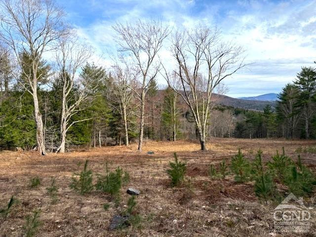 0 Campbell Road Ashland, NY 12407 - Photo 7 of 31 Photo 7