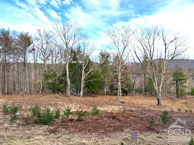 0 Campbell Road Ashland, NY 12407 - Photo 8 of 31 Photo 8