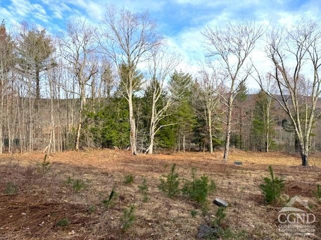 0 Campbell Road Ashland, NY 12407 - Photo 9 of 31 Photo 9