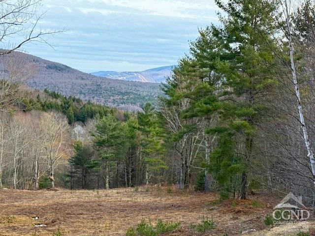 0 Campbell Road Ashland, NY 12407 - Photo 10 of 31 Photo 10