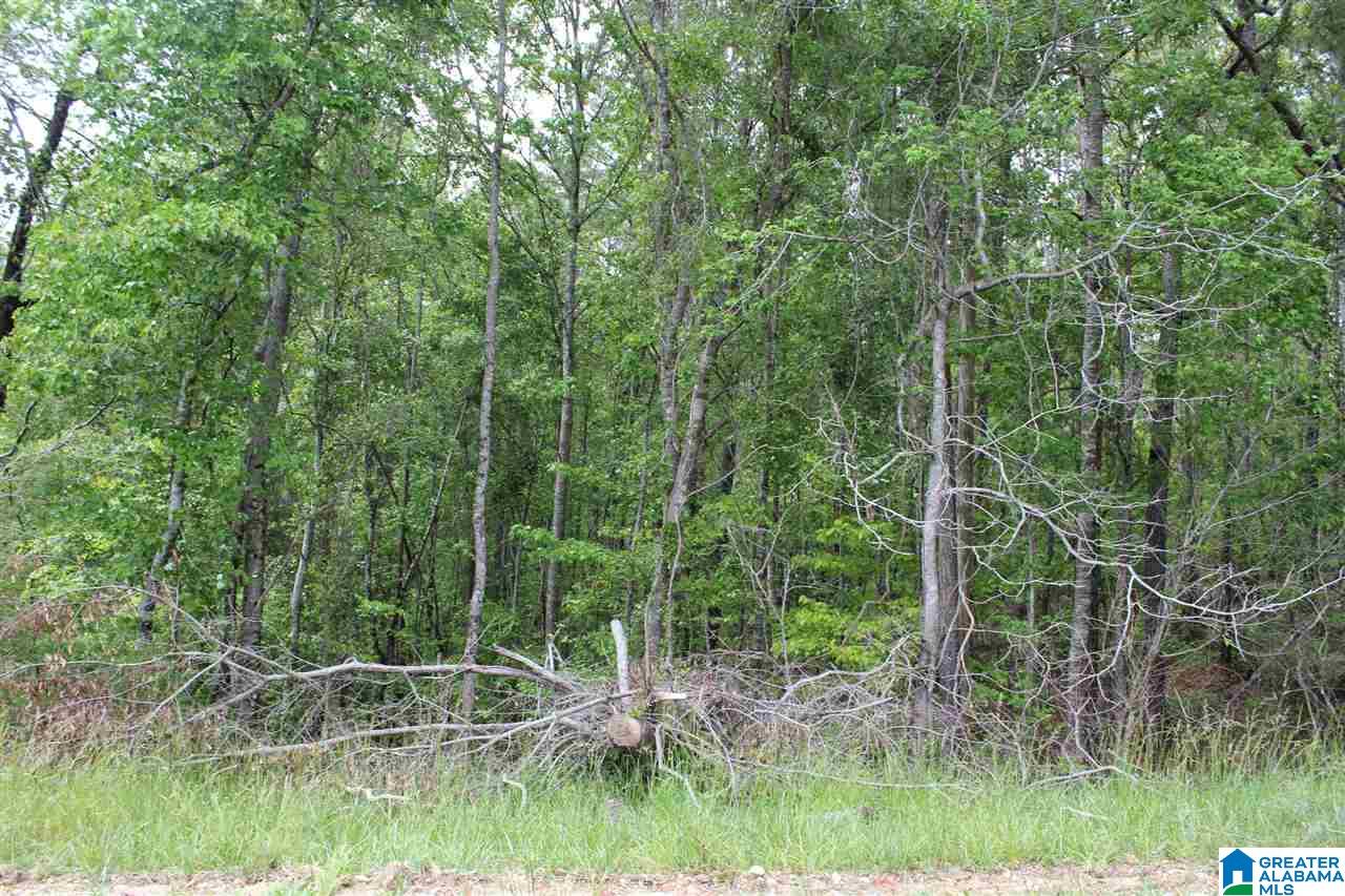 0 County Road 38 Jemison, AL 35085 - Photo 7 of 13