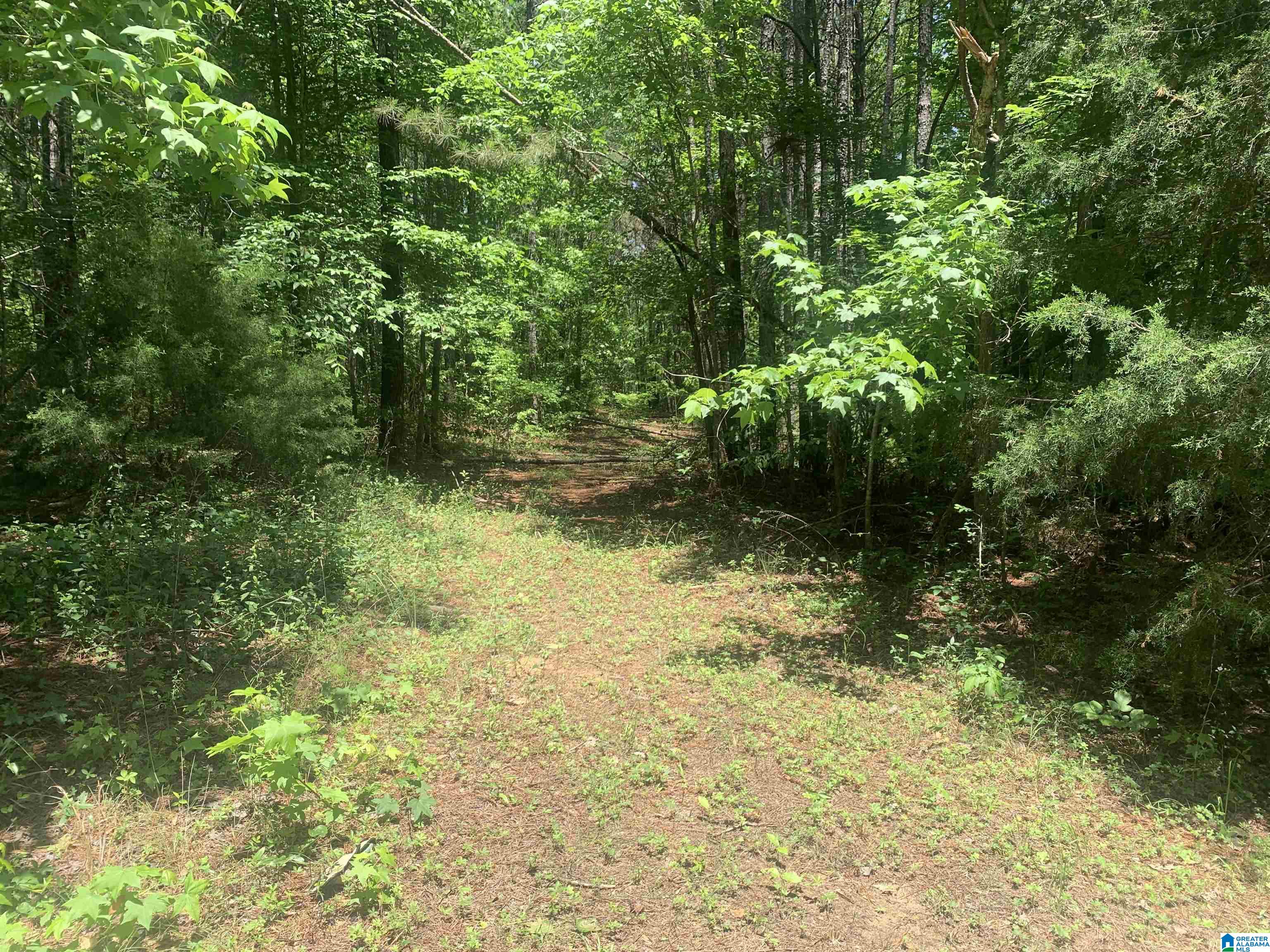 1161 Old Patton Ferry Road Adger, AL 35006 - Photo 40 of 46