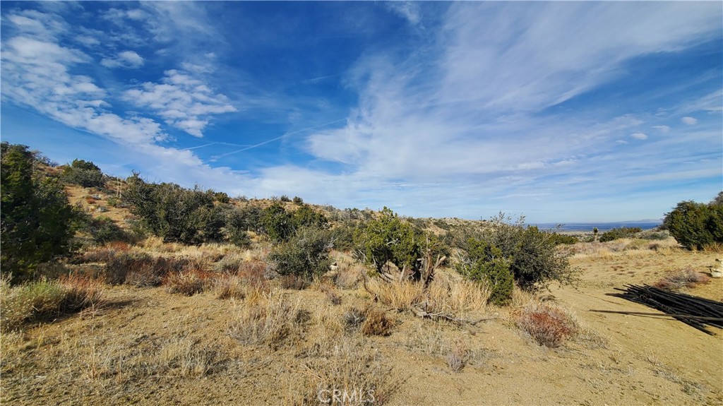 0 Vicinity Ross Road Juniper Hills, CA 93543 - Photo 40 of 50 Gallery Image 40